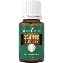 Eukalyptus Globulus 15ml