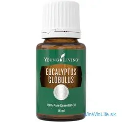 Eukalyptus Globulus 15ml